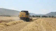 Çiftçilere 195,6 milyon liralık destek ödemesi yapıldı