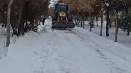 Doğu Anadolu'da yoğun kar, 320 yerleşim yerinin yolunu kapattı