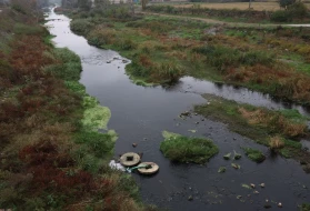 Prof. Dr. Sarı’dan Gönen Çayı uyarısı: Müsilaj tekrar gelecek