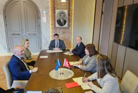 Bakan Yardımcısı Fatma Varank, COP31 sürecini UNDP Direktörü Marcos Neto ile masaya yatırdı