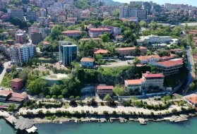 Zonguldak'taki aile yapısı değişiyor: Çocuksuz hanelerin oranı yüzde 68'e ulaştı