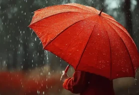 Yurt genelinde yağış alarmı: 19 il için sarı kodlu uyarı