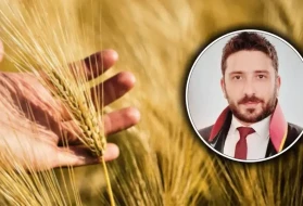 Şanlıurfalı çiftçilere kritik uyarı! "Ürünüm gitti" demeden önce bunu bilin