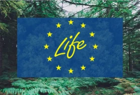 AB destekli LIFE projeleriyle geri dönüşümde yeni dönem: Atık yönetiminde ne değişecek?
