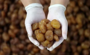 Bursa kestane şekeri ve İpsala pirincine AB'den coğrafi işaret