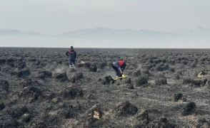 Nehil sazlığı yangını kontrol altında: 200 kuş türü etkilendi