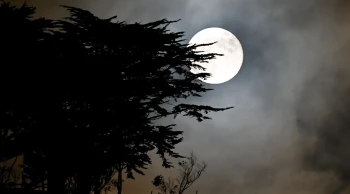 San Francisco'da Kunduz Ayı manzaraları: Golden Gate'de Dolunay