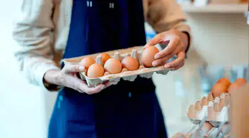 ABD'de Salmonella Salgını Nedeniyle 1,6 Milyon Kolinin Yumurtası Geri Çağrıldı