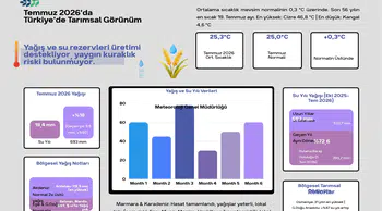 Türkiye'de tarımsal üretimde olumlu tablo: Yağışlar arttı, kuraklık riski geriledi
