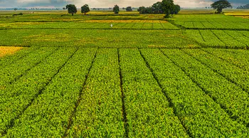 Çiftçilerin hesaplarına 67,8 milyon liralık tarımsal destek aktarılacak