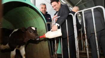 Kaymakam Şahin, Türkiye’nin en büyük besi çiftliğini ziyaret etti! Bölge ekonomisine etkisi ne olacak?