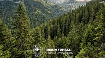 Bakan Yumaklı'dan Dünya Ormancılık Günü mesajı: "Yeşil vatanımızı korumaya kararlıyız"