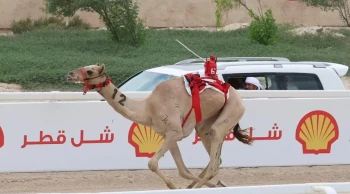 BAE, Katar'da Altın Hançer ile zafer kazandı! Hecin el-Riyasah sahnede