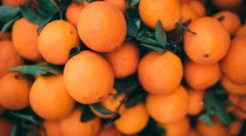 Türkiye’nin turunçgil ihracatında 698 milyon dolarlık rekor! Neler oluyor?