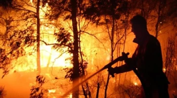 Avrupa Birliği tarihinin en yıkıcı orman yangını sezonu: 2025'te neler yaşandı?