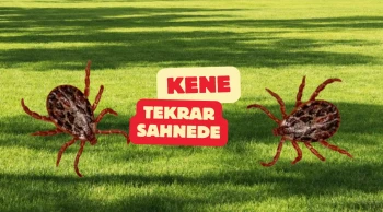 Kenede riskli dönem başladı