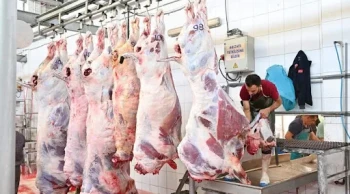 Bayramın ilk gününde acil servisler doldu taştı: 13 bin 513 acemi kasap kurban keserken yaralandı