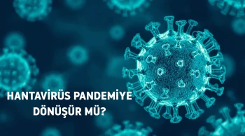 Hantavirüs endişelerine uzman yanıtı: Salgın riski yok, temizlikte dikkat