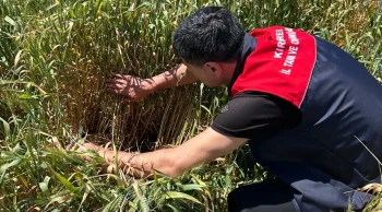 Tarlada bilinçsiz ilaçlama dönemi bitiyor: Kırklareli'nden üreticiye kritik uyarı