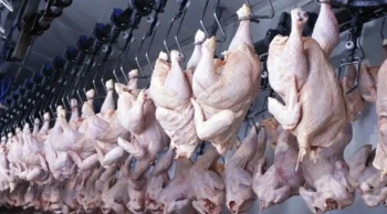 Beyaz et operasyonunda kayyım kararları kaldırıldı