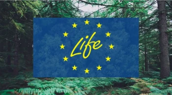 AB destekli LIFE projeleriyle geri dönüşümde yeni dönem: Atık yönetiminde ne değişecek?