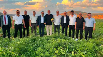 Delice Kara Kavunu için ilk hasat yapıldı