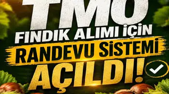 TMO, 2026 fındık alımı için randevu sistemini açtı