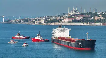 İstanbul Boğazı'nda yoğun sis nedeniyle deniz trafiği durduruldu