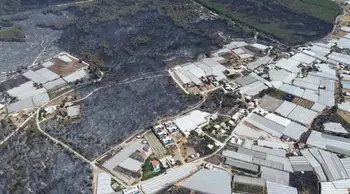 Kaş'ta yangın sonrası yaralar sarılıyor: Milletvekili Uslu sahada