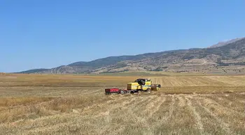 Kemerli üreticiler kuraklığa karşı aspirle umut buldu: Dekardan 120 kiloya varan verim