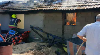 Bandırma'da dam yangını itfaiyenin hızlı müdahalesiyle büyümeden söndürüldü