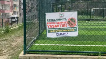 Giresun'da Parklara Fındık Serimine Sıkı Denetim