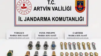 Sarp Sınır Kapısı'nda Milyonluk Kaçakçılık Operasyonu