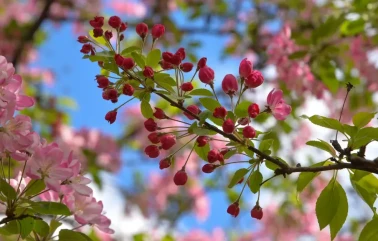 Son cemre toprağa düştü, bahar resmen geldi! Tarım ve hayvancılıkta hareketlilik bekleniyor