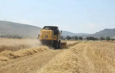 Çiftçilere 195,6 milyon liralık destek ödemesi yapıldı