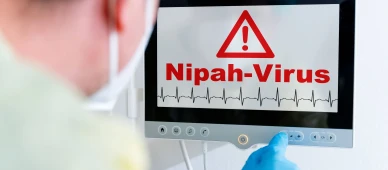 Singapur, Nipah virüsü endişesiyle havaalanında sağlık taramasını artırdı