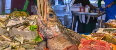 AB'de balık tüketimi ve cıva riski üzerine yeni araştırma sonuçları