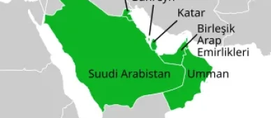 Körfez ülkelerinde sağlık sektörü büyüyor: Hastane sayısı 882'ye ulaştı