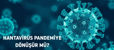 Hantavirüs endişelerine uzman yanıtı: Salgın riski yok, temizlikte dikkat