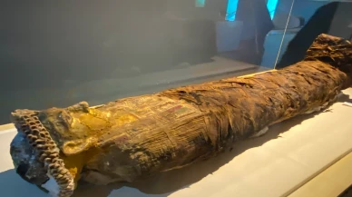 Altın Mumya Vadisi  kültürel bir hazine sunuyor