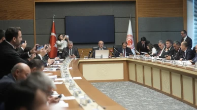 Milli Parklar Kanunu teklifi: Doğayı korumak mı, kullanıma açmak mı?