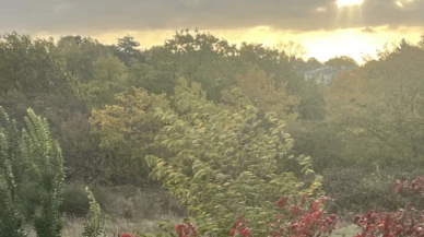 Fransa’da Benjamin Fırtınası alarmı: Paris’te parklar ve bahçeler kapatıldı