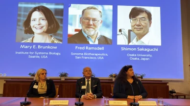 2025 Nobel Tıp Ödülü: Otoimmün ve kanser tedavilerine ışık