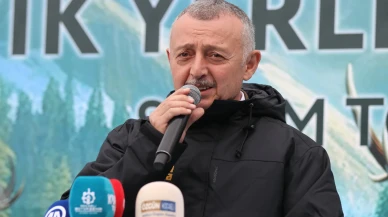 Kocaeli'de Doğa Dostu Proje: Samanlı Dağları'na 7 Kızıl Geyik Daha Salındı!