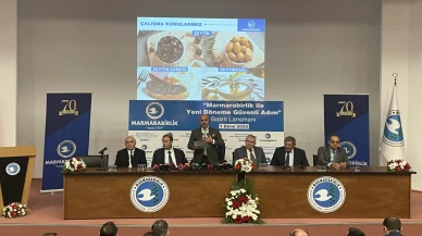 Marmarabirlik : Yeni sezonda 170 bin ton zeytin rekoltesi bekleniyor