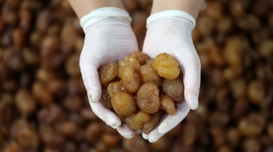 Bursa kestane şekeri ve İpsala pirincine AB'den coğrafi işaret