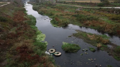 Prof. Dr. Sarı’dan Gönen Çayı uyarısı: Müsilaj tekrar gelecek