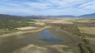 Belevi Gölü'nde kuraklık alarmı: Sular çekildi balıklar telef oluyor