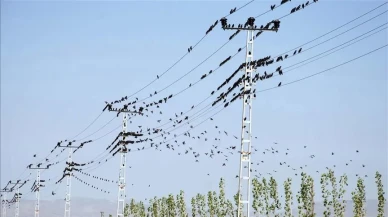 Günlük elektrik verileri açıklandı: Üretim tüketimi aştı
