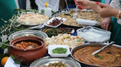 Milas’ta 11. Uluslararası Zeytin Hasat Şenliği sona erdi